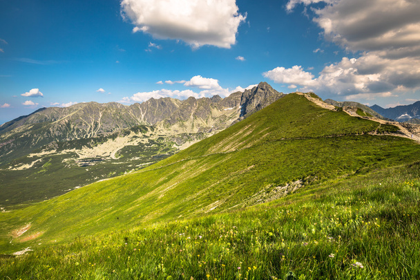 Біля підніжжя гори, Польща, вид з Каспрів верх до долини газу - Фото, зображення