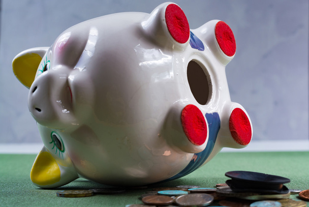 Opened piggy bank and coins -  business concept - Photo, Image