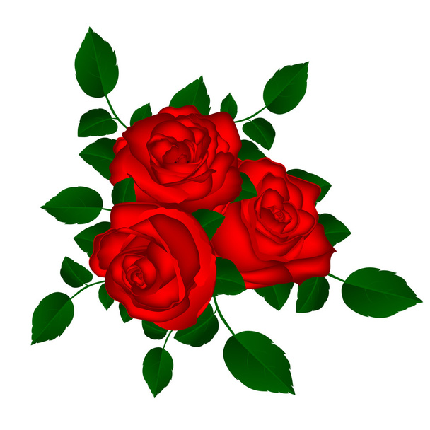 白い背景に赤いバラの花束 - ベクター画像