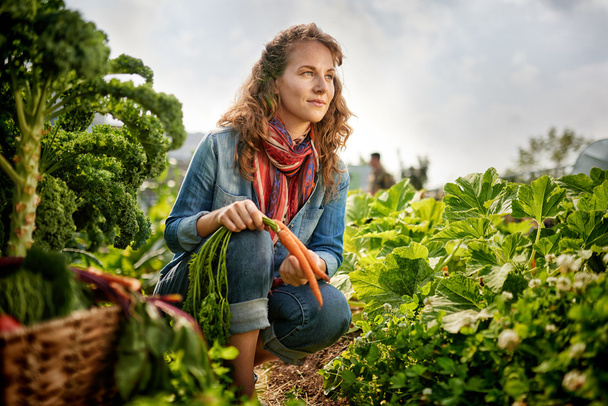 Friendly woman harvesting fresh vegetables from the rooftop greenhouse garden - Foto, Bild