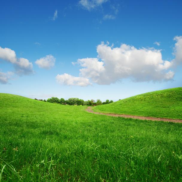 Травянистые зеленые холмы и дорожки к отдаленным деревьям
 - Фото, изображение