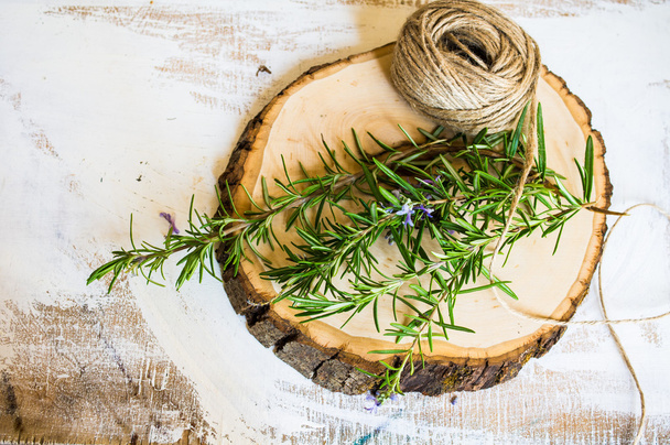 Rosemary herb concept - Photo, Image