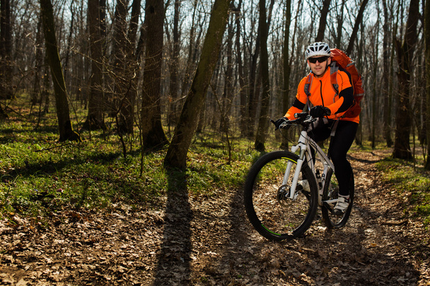 Верховая езда на велосипеде в лесной пейзаж
. - Фото, изображение