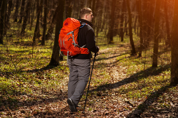 Active healthy man hiking in beautiful forest - Foto, Imagen