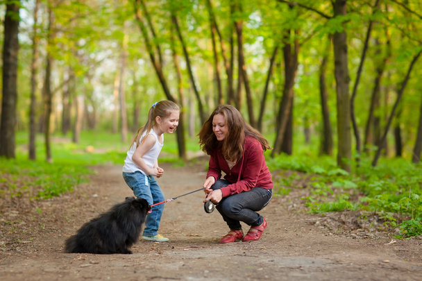 Mother and child walking playing with dog - 写真・画像