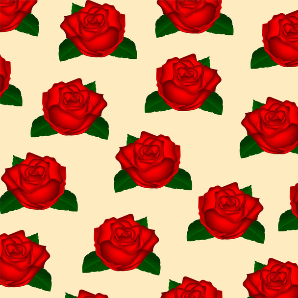 Vörös Rózsa háttérkép - Vektor, kép