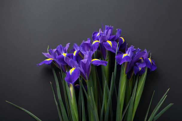 blue flowers on black background - Fotó, kép