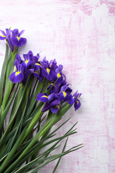 fresh irises on wooden background - 写真・画像