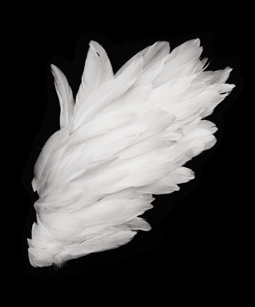 ángel, - Foto, imagen
