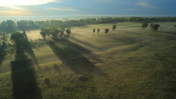 Morning mist in the sun. - Video, Çekim