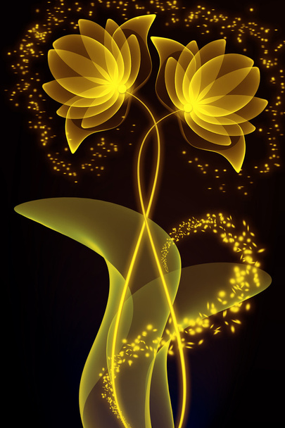 Transparent flowers - Foto, afbeelding