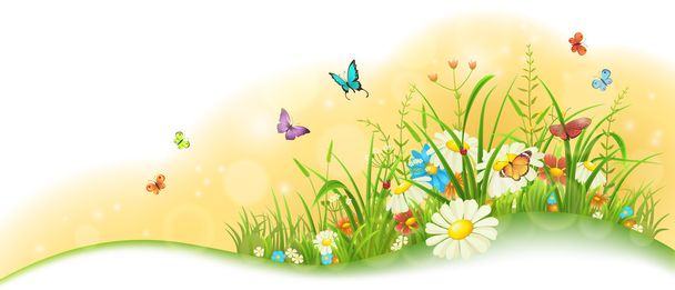 Summer floral banner - Vecteur, image