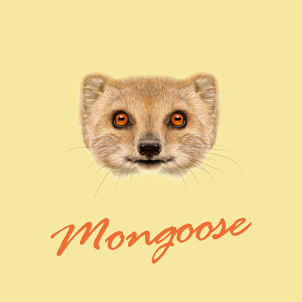 Vektorový portrét ilustrovaná Mongoose.  - Vektor, obrázek