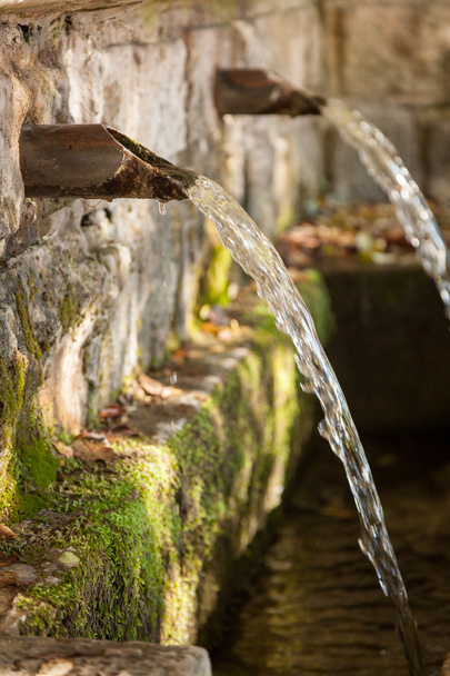 Brunnen Wasserquelle Quelle im Wald - Foto, Bild
