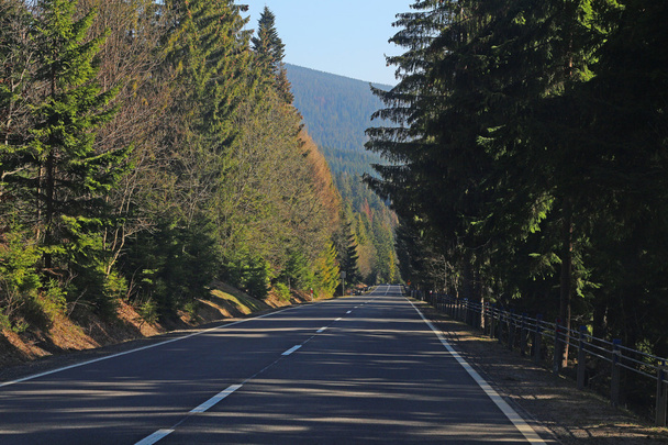 Дорога в горах
  - Фото, изображение