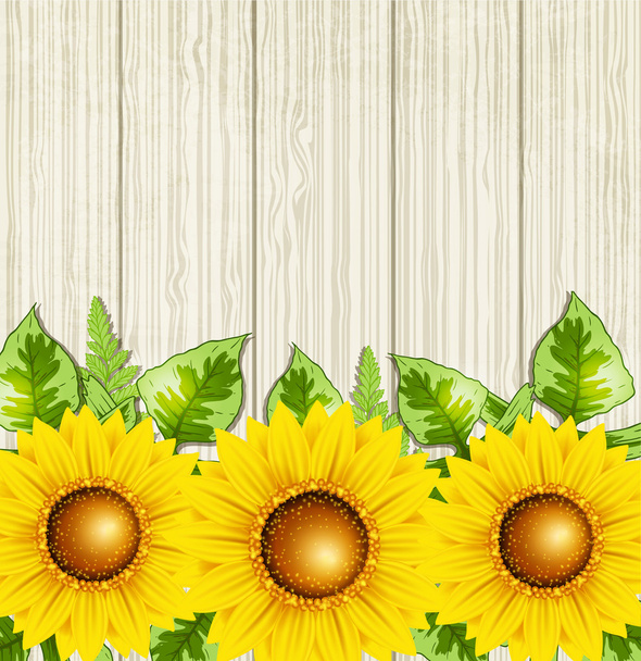 Summer background with sunflowers - Vecteur, image