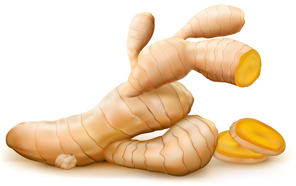 Ginger root and cut root - Vector, Image