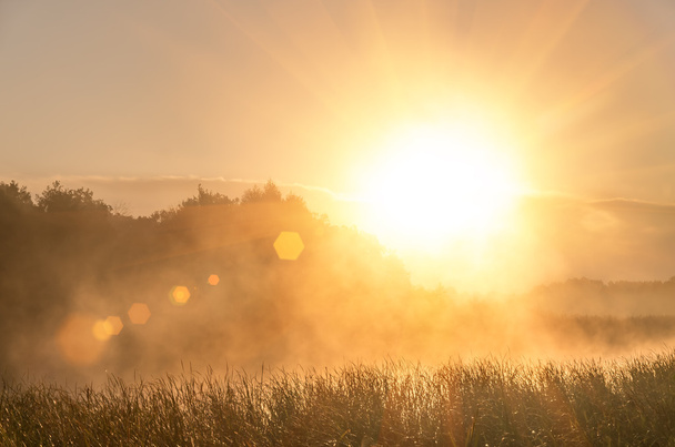 Belo nascer do sol no verão
 - Foto, Imagem