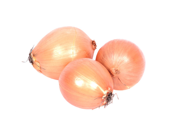 Cebolla orgánica fresca
 - Foto, imagen