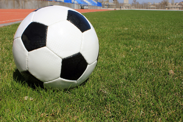 Fútbol en un césped de hierba
   - Foto, imagen