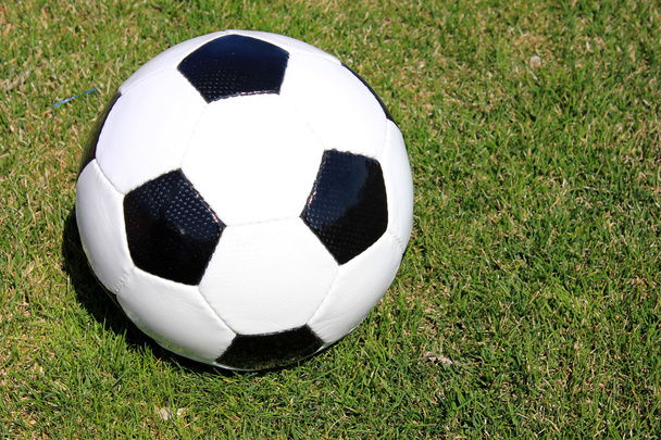 草の芝生の上でサッカー - 写真・画像