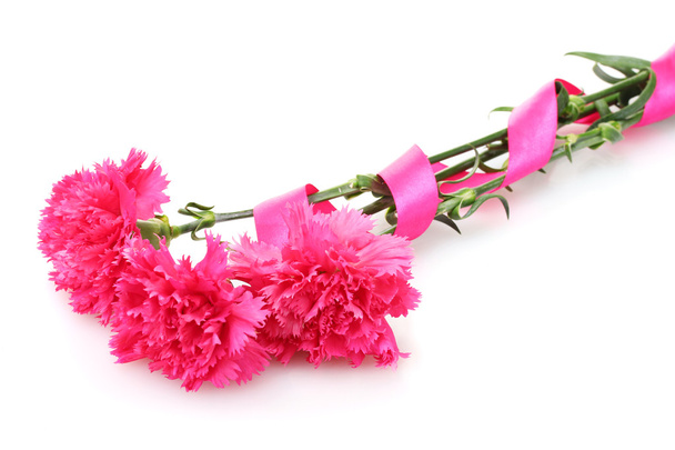 Beautiful pink carnations isolated on white - Fotografie, Obrázek