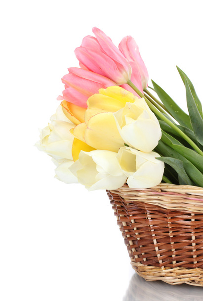 Beautiful tulips in basket isolated on white - Foto, imagen