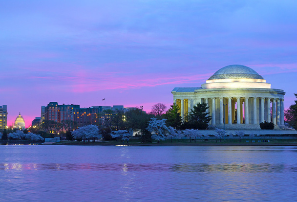 Thomas Jefferson 記念館と桜祭りの期間中夜明け私たち議会議事堂.  - 写真・画像