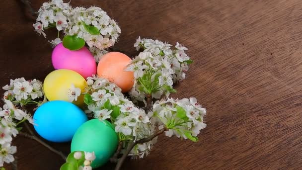 Пасхальные яйца на ветке цветущего дерева
 - Кадры, видео