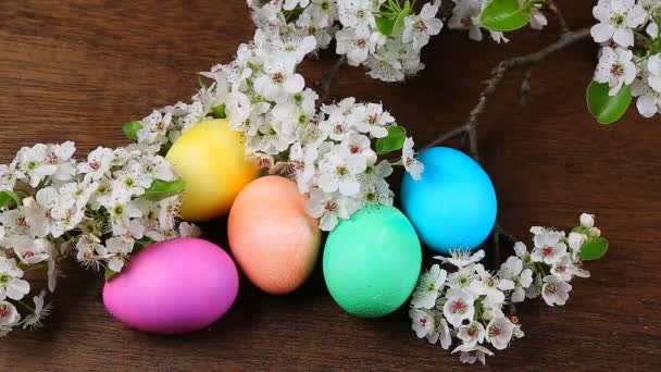 Easter eggs on a flowering tree branch - Footage, Video