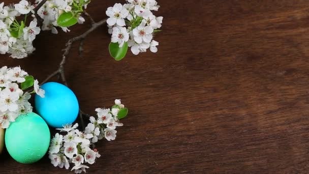Huevos de Pascua en una rama de árbol floreciente
 - Imágenes, Vídeo