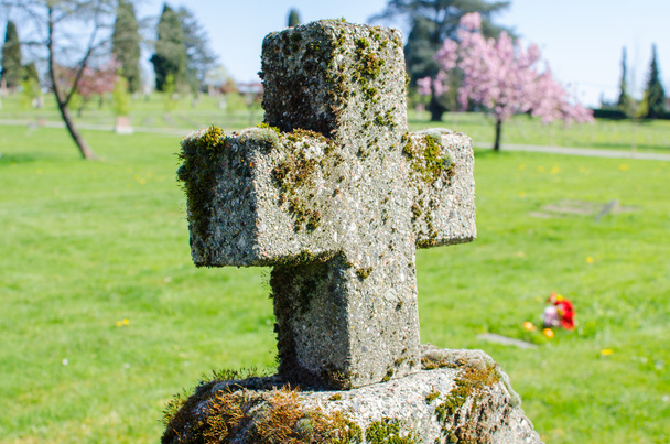 Трав'янисті кладовища кладовищі
 - Фото, зображення