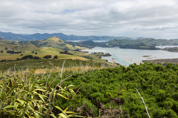 Coastal view from top of the mouintain. New Zealand, Otago Penin - Photo, Image