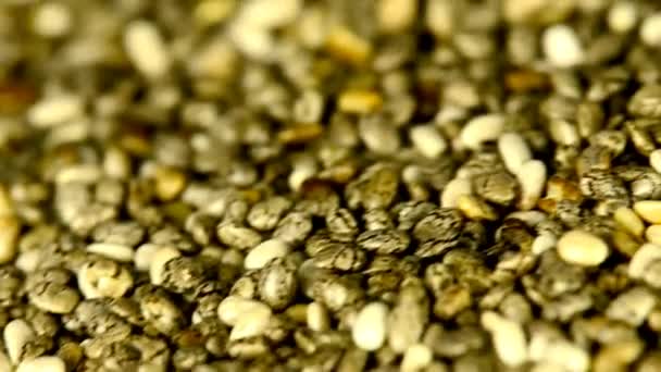 Las semillas de chía en una mesa giratoria
 - Imágenes, Vídeo