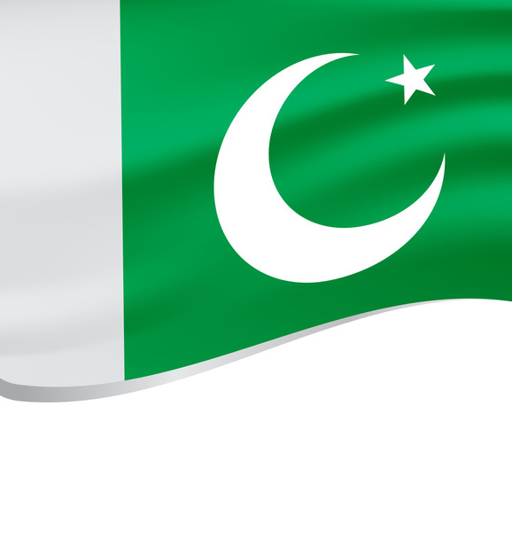 beyaz izole pakistan bayrağı sallayarak - Vektör, Görsel