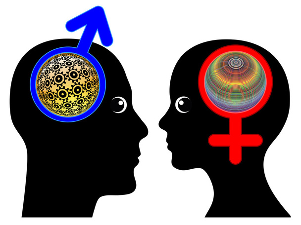 Maschio e femmina I cervelli sono diversi
 - Foto, immagini