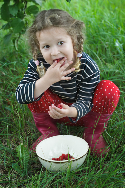 Μικρό κορίτσι που φοράει κόκκινο gumboots λήψη νότες ώριμων σμέουρων από λευκό πιάτο στο στόμα της - Φωτογραφία, εικόνα