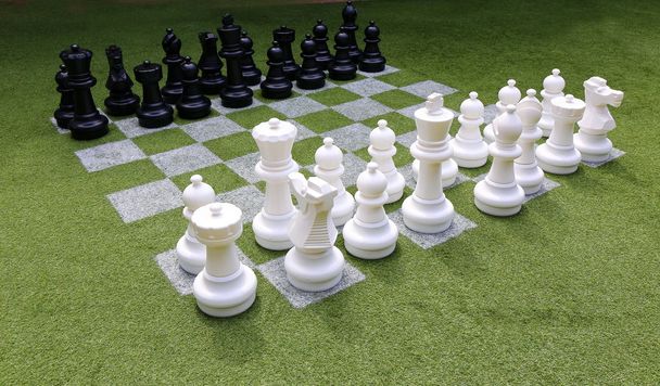 Szachownica i szachy sztuk na trawie w ogrodzie - Zdjęcie, obraz