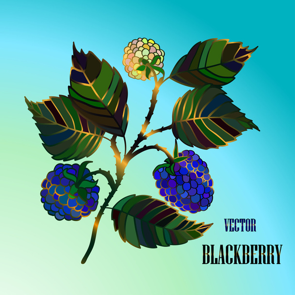 Vektorové blackberry větev  - Vektor, obrázek