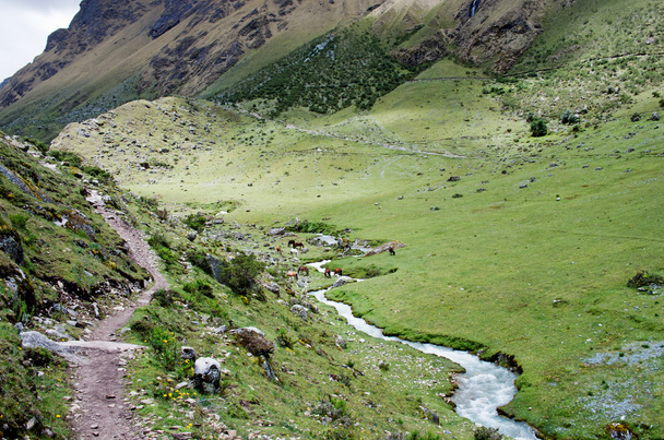 Trekking in mountains, Peru - Fotoğraf, Görsel