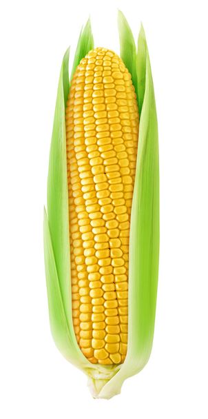 One isolated corn with leaves  - Photo, Image
