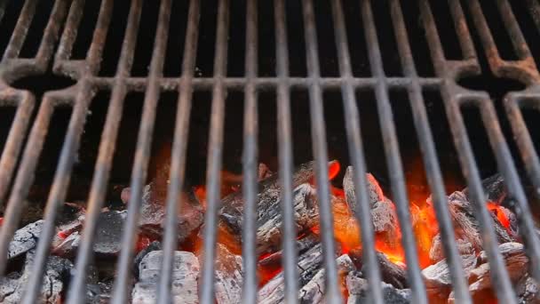 BBQ grilu a žhavé uhlíky. Můžete vidět další Bbq, grilovaná jídla, oheň - Záběry, video