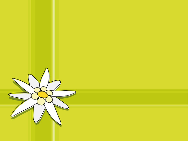 Přání s edelweiss - Fotografie, Obrázek