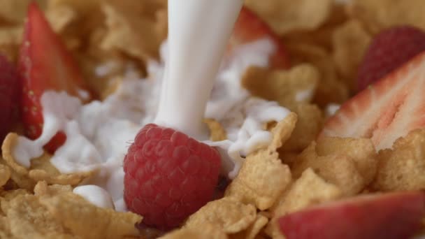 Corn flakes pouring with milk - Footage, Video