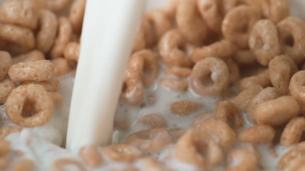 Pouring milk into cereal - Footage, Video