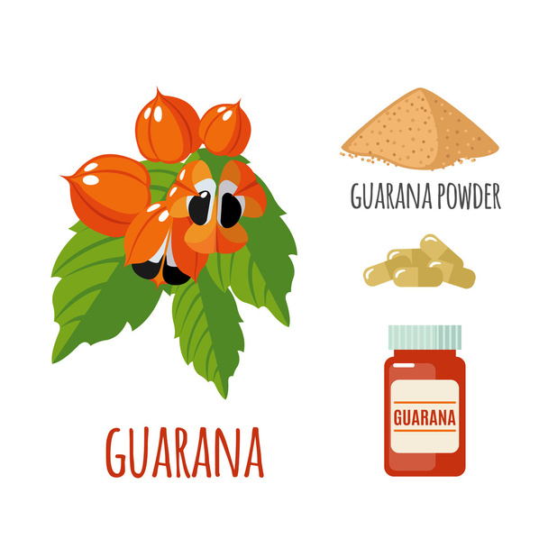 Superfood guarana στεγάζεται σε επίπεδη στυλ. - Διάνυσμα, εικόνα
