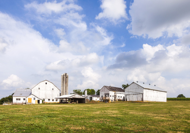 farm house with field and silo - Foto, Bild