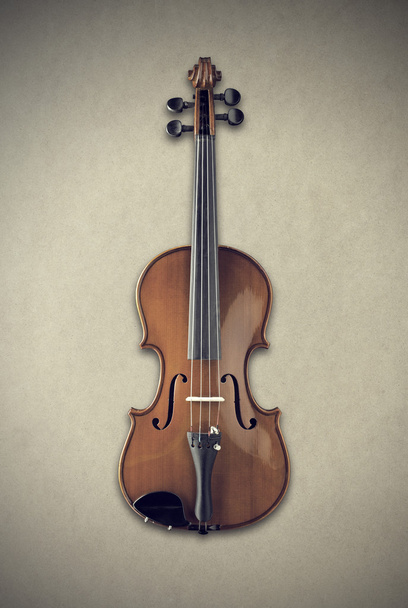 Violin - Fotografie, Obrázek