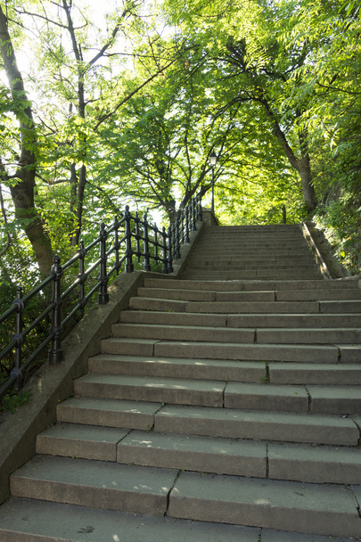 Stairs in park, budapest - Valokuva, kuva