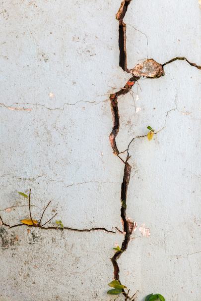 Crack on wall - Photo, Image